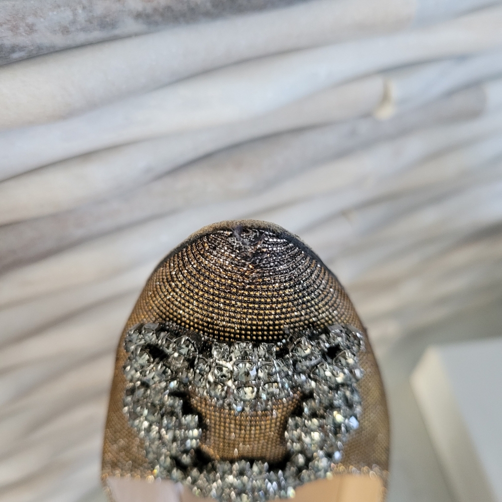 Manolo Blahnik Hangisi Jeweled Heels - Picture 2 of 10